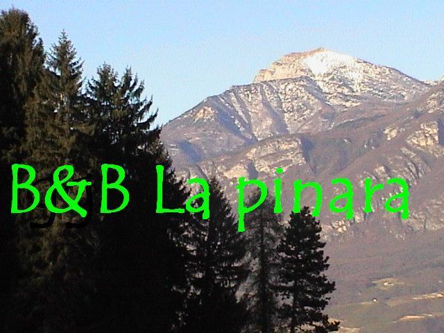 B&B La Pinara Trento Ruang foto