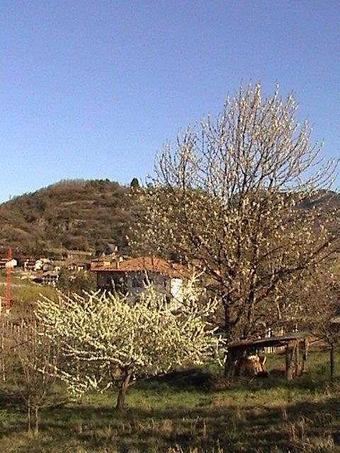 B&B La Pinara Trento Bagian luar foto