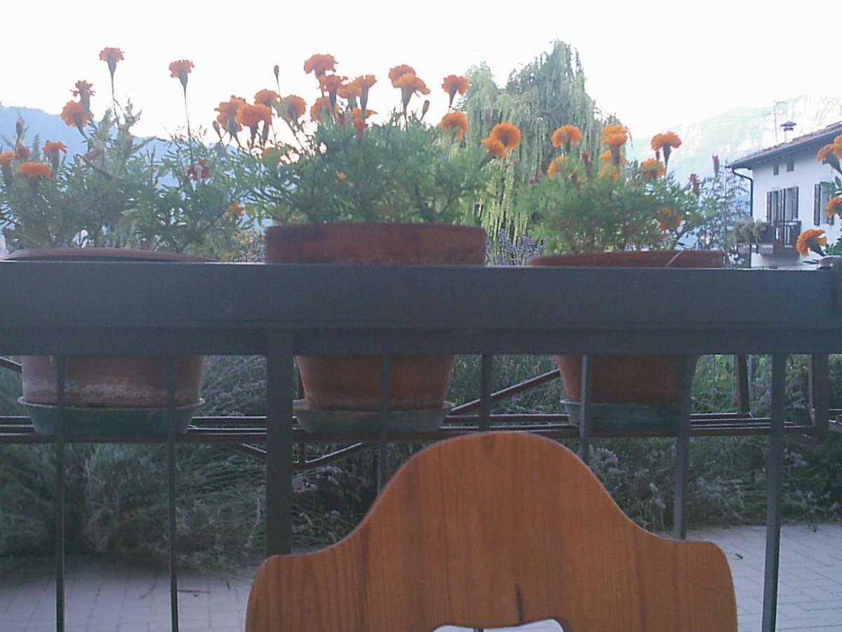 B&B La Pinara Trento Bagian luar foto