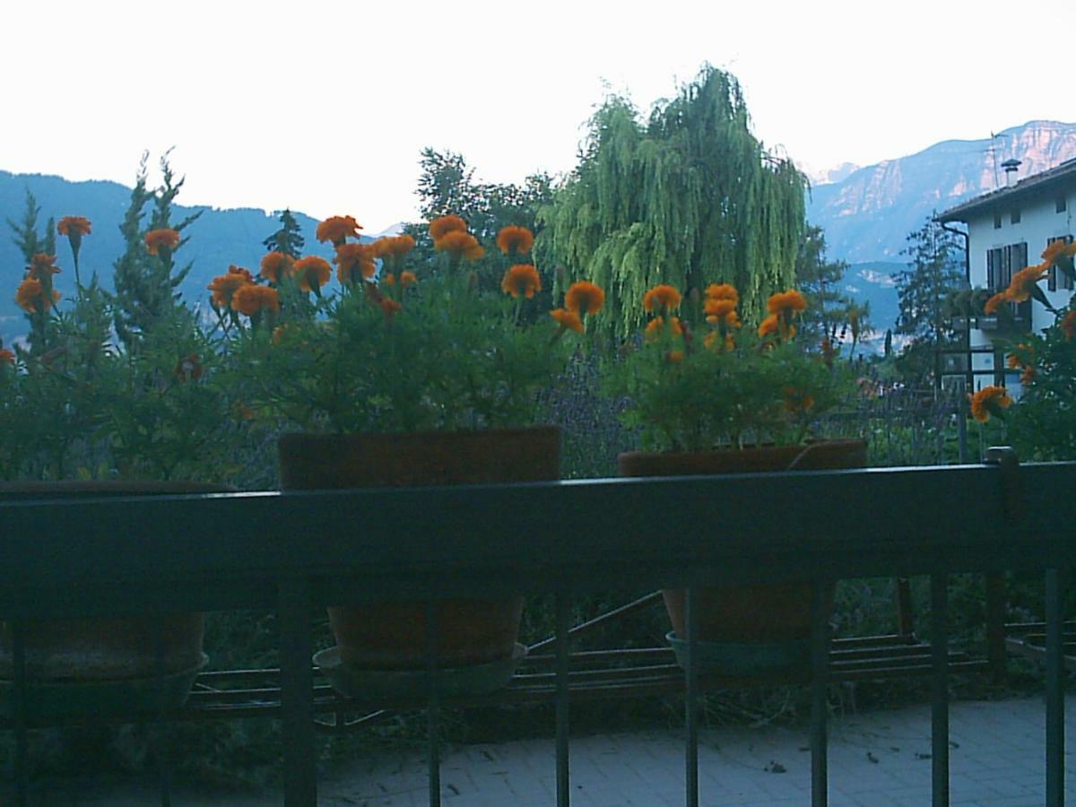 B&B La Pinara Trento Bagian luar foto